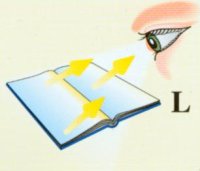 Lichtdichte.jpg